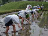 22田植え1