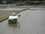神野たんけん3