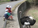 神野たんけん4